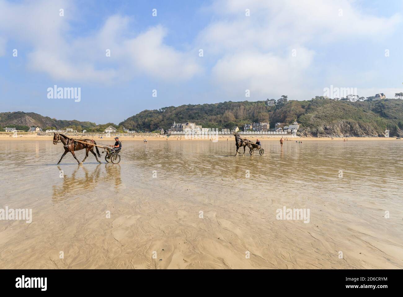 Frankreich, Manche, Cotentin, Mont-Saint-Michel Bay von der UNESCO zum Weltkulturerbe erklärt, Carolles, Pferde mit einem Sulky am Strand gespannt // Frankreich, Ma Stockfoto