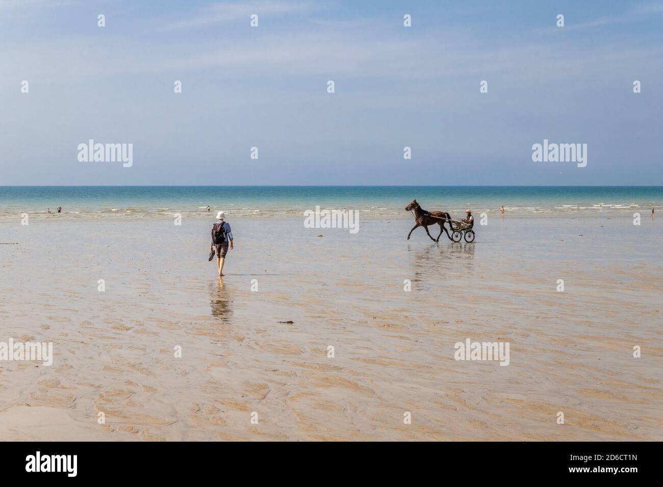 Frankreich, Manche, Cotentin, Mont-Saint-Michel Bay von der UNESCO zum Weltkulturerbe erklärt, Carolles, Pferd mit einem Sulky am Strand gespannt // Frankreich, man Stockfoto