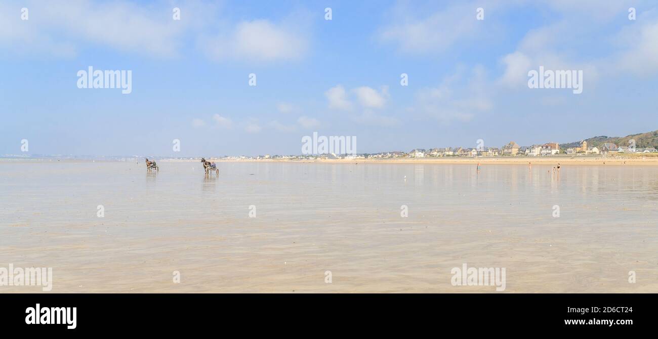 Frankreich, Manche, Cotentin, Mont-Saint-Michel Bay von der UNESCO zum Weltkulturerbe erklärt, Carolles, Pferde mit einem Sulky am Strand gespannt // Frankreich, Ma Stockfoto