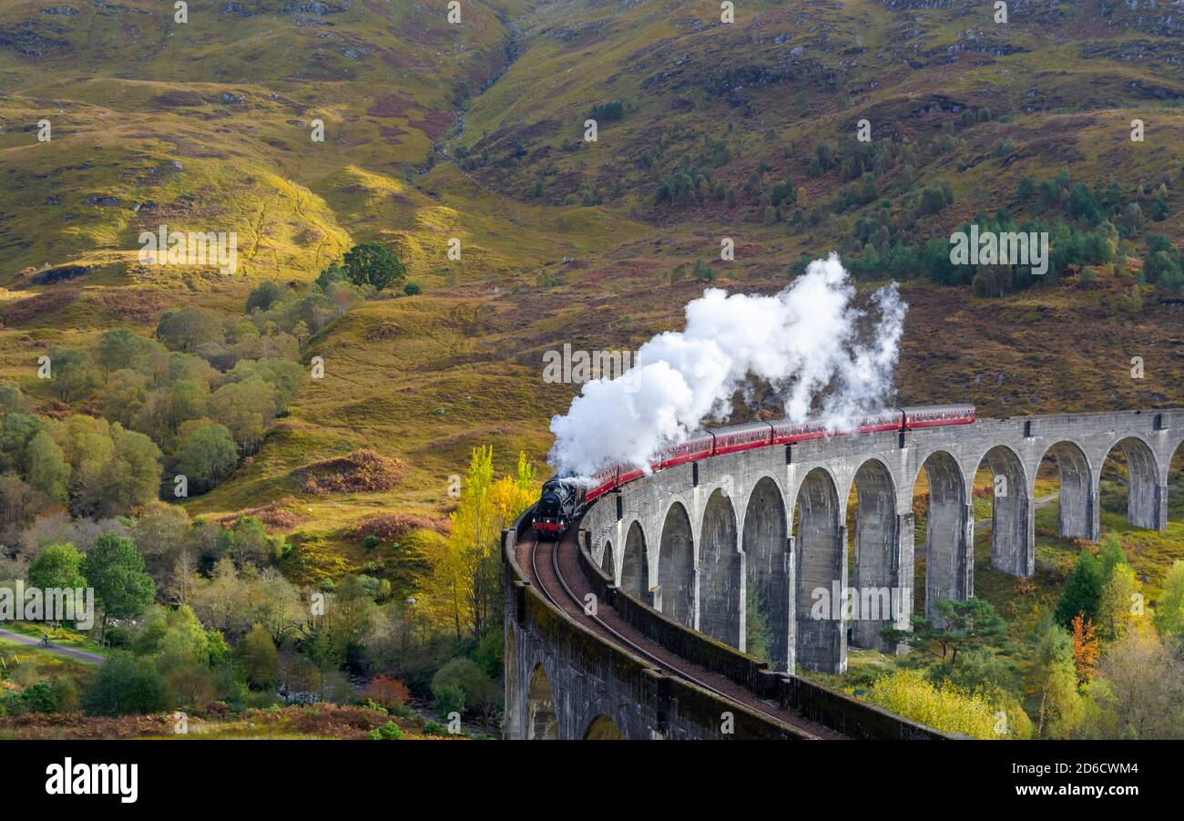 FORT WILLIAM WESTKÜSTE VON SCHOTTLAND DIE JACOBITE DAMPFZUG AUF DEM GLENFINNAN VIADUKT MIT HERBSTFARBEN AM MORGEN UND WEISSER RAUCH AUS DEM SPASS Stockfoto