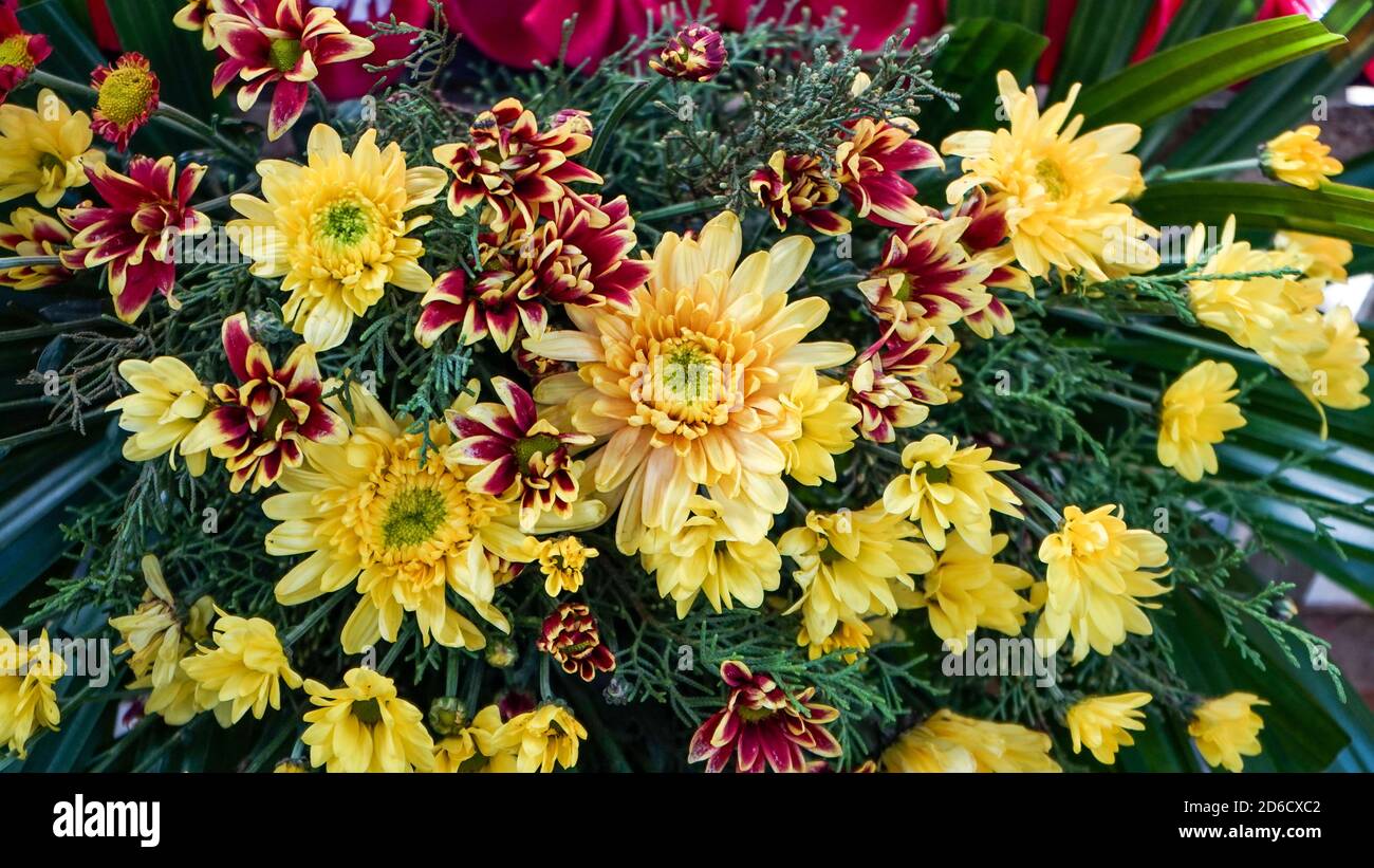 Nahaufnahme von Blumenarrangements Stockfoto