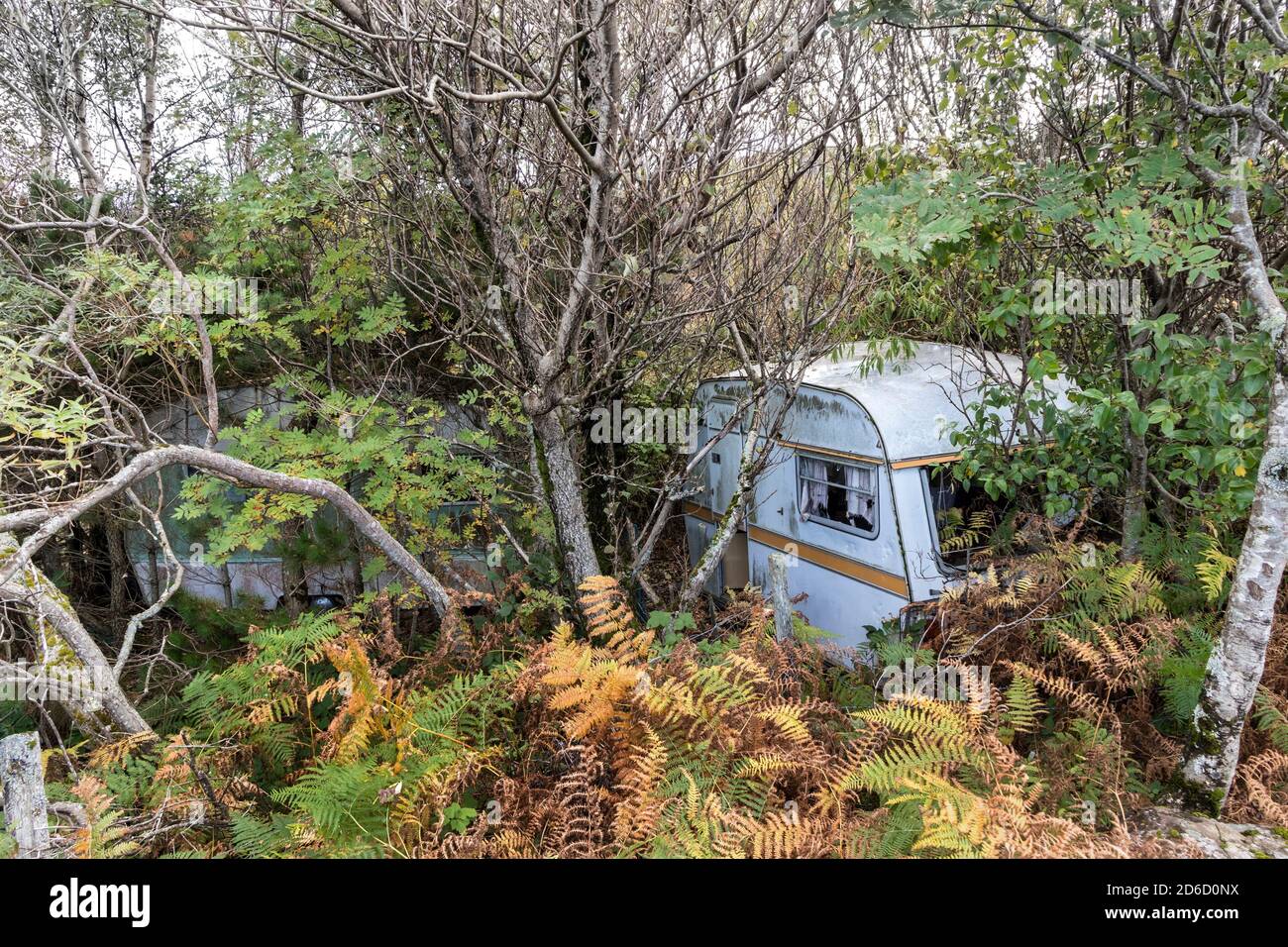 Alte Karawanen werden langsam von der Natur in einem überwucherten Woodland, Großbritannien, zurückerobert Stockfoto
