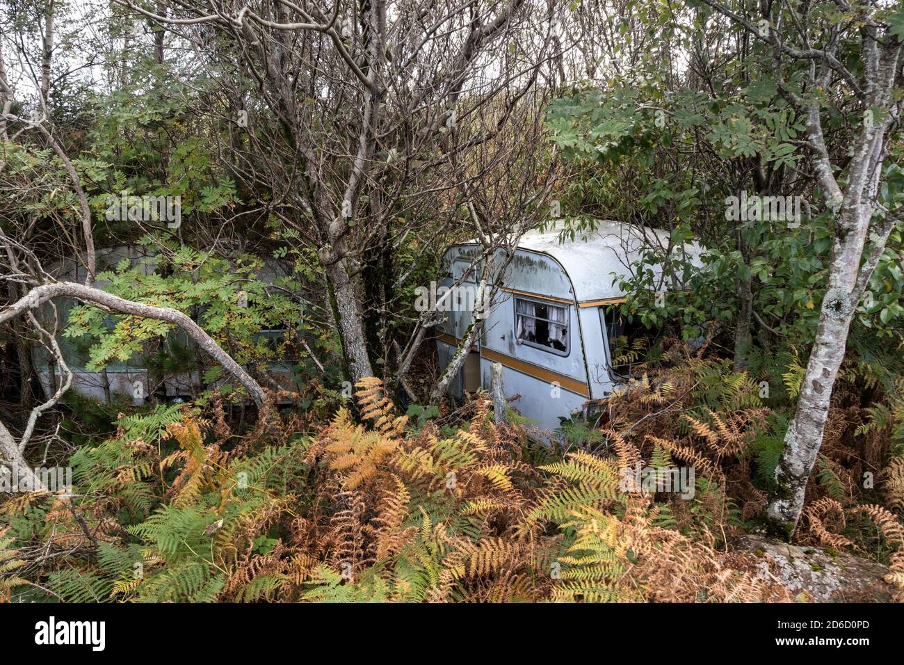 Alte Karawanen werden langsam von der Natur in einem überwucherten Woodland, Großbritannien, zurückerobert Stockfoto