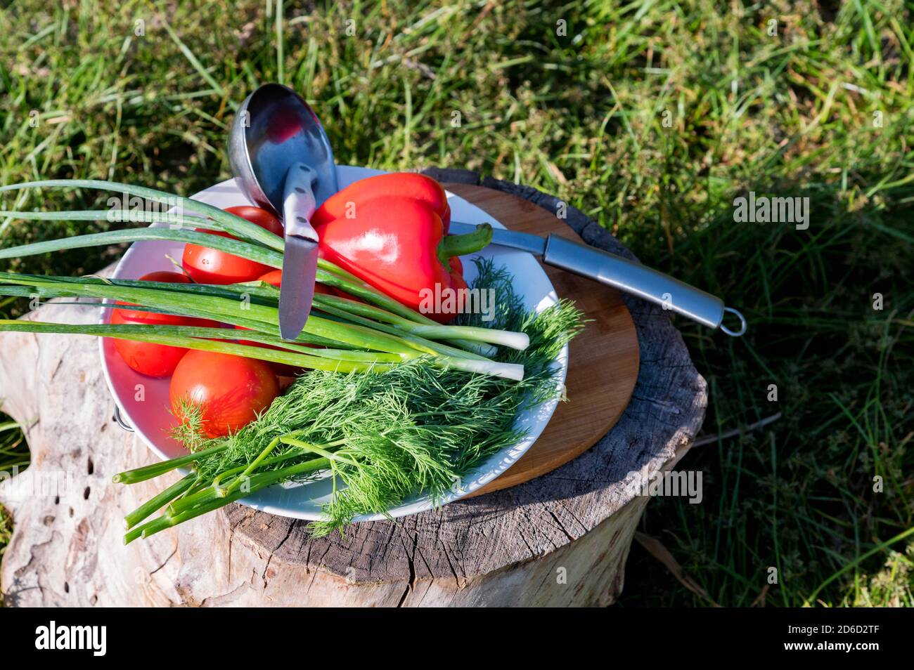 Frische Tomaten, Paprika und Kräutersuppe für Fischbrühe über offenem Feuer gekocht Stockfoto