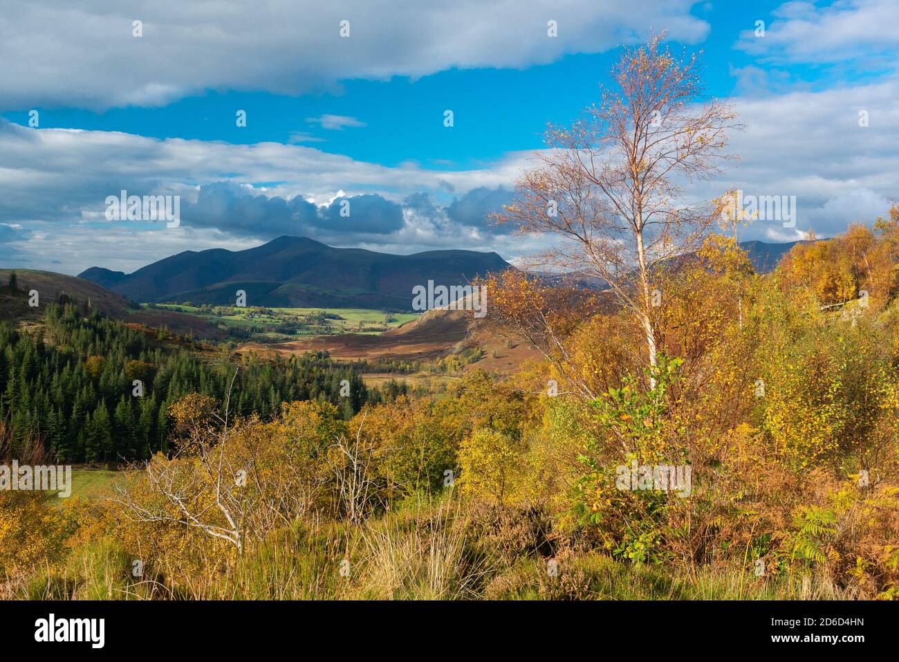 Blick auf die Cumbria Mountains von Thirlmere, Cumbria im Lake District. Stockfoto