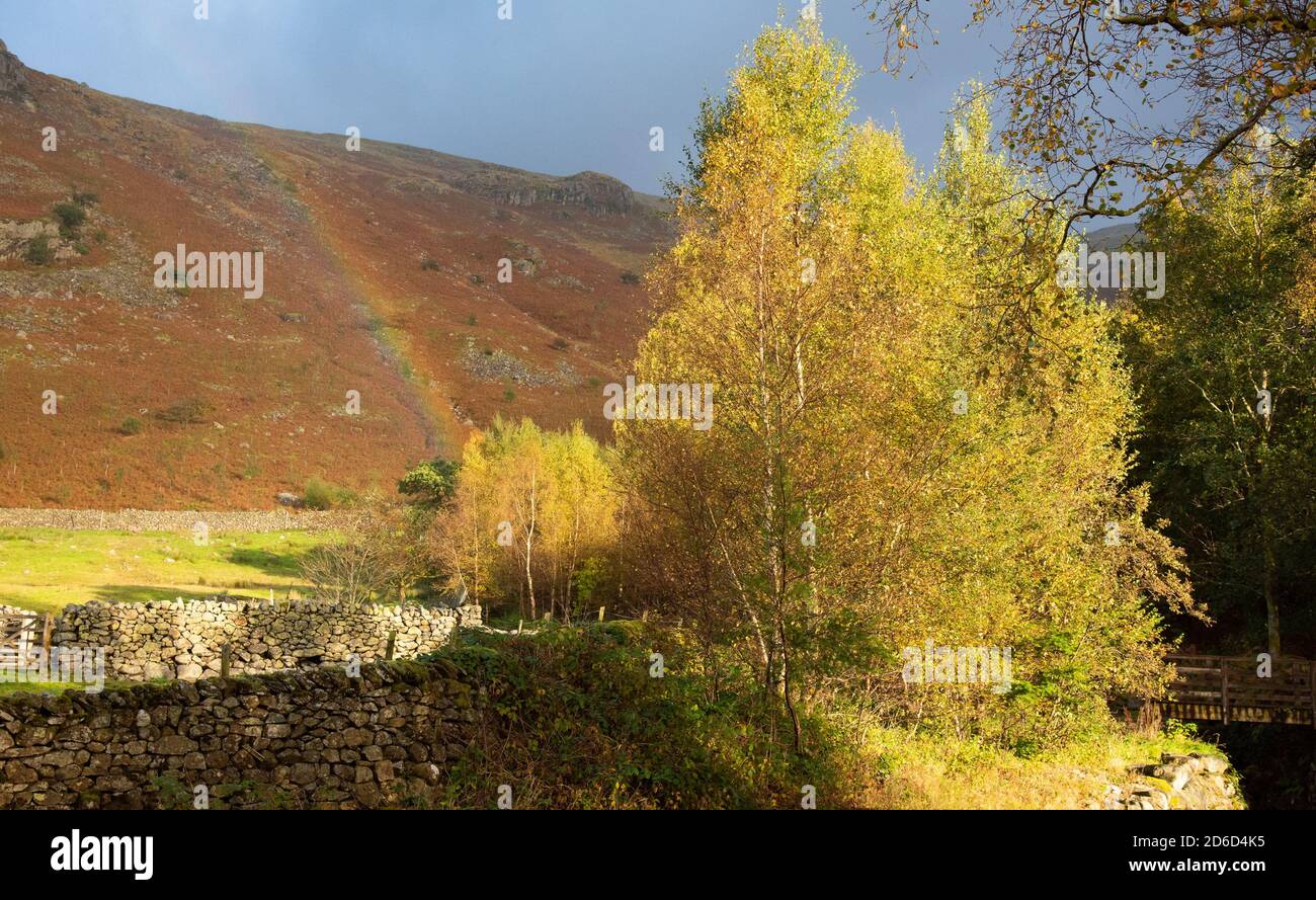 Blick auf die Cumbria Mountains von Thirlmere, Cumbria im Lake District. Stockfoto