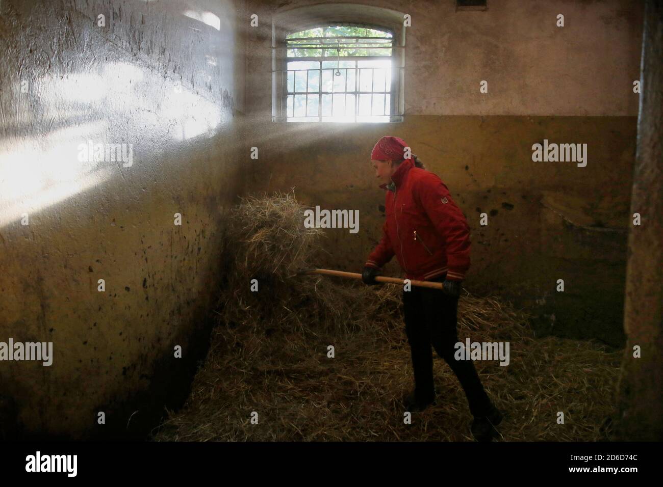05.05.2020, Hoppegarten, Brandenburg, Deutschland - der Pferdepfleger muckt eine Kiste aus. 00S200505D218CAROEX.JPG [MODEL RELEASE: NO, PROPERTY RELEASE: NO (C) CA. Stockfoto