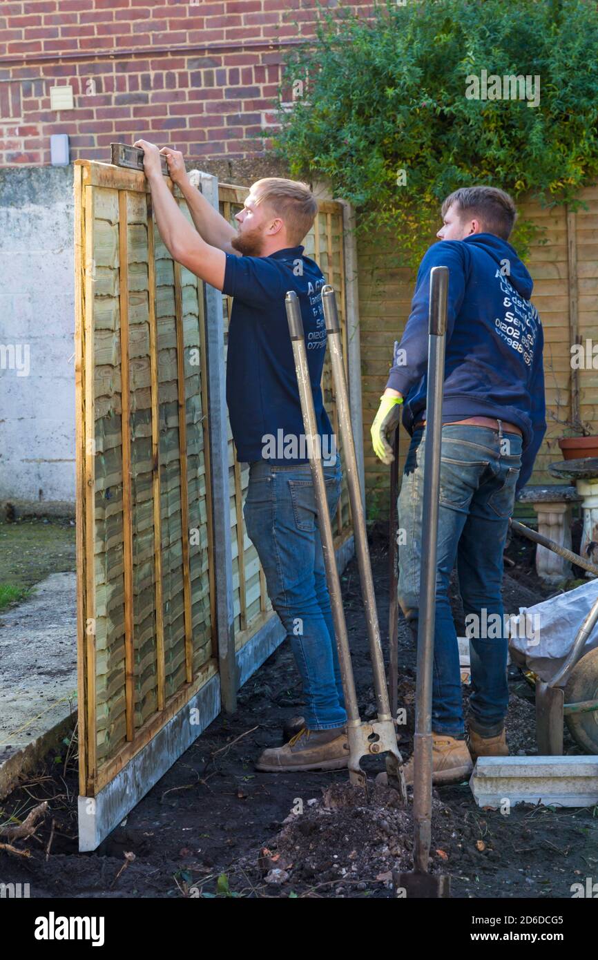 Gartenarbeit und Renovierung Teilnahme an Garten in Bournemouth, Dorset UK im Oktober - Errichtung der Installation von neuen Zaunzäune, Zaun Panel Stockfoto