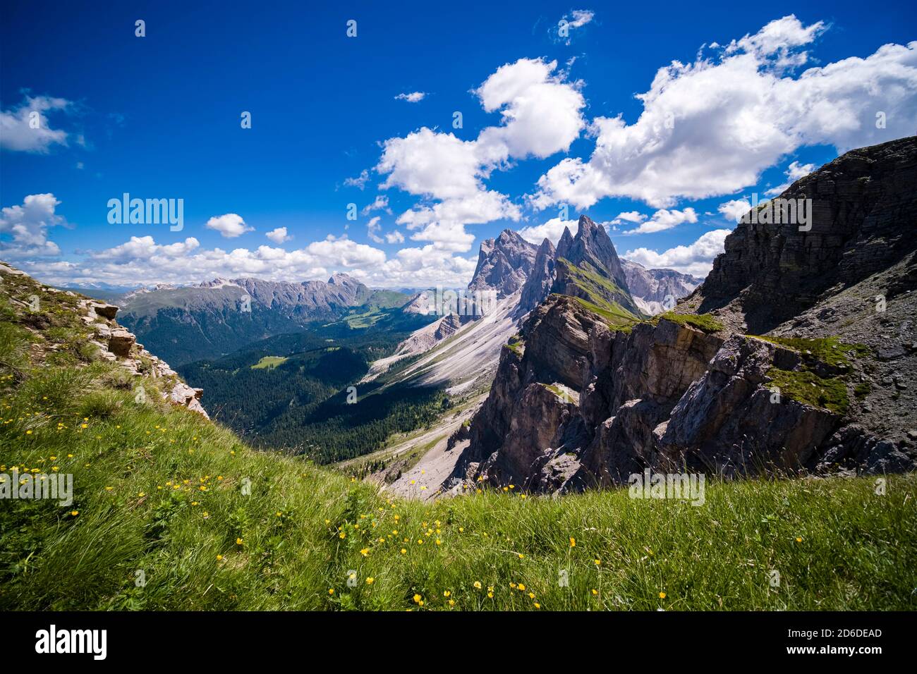 Almen rund um die steilen, rauen Klippen und Gipfel der Bergformation Seceda, Secèda, Teil des Puez-Geisler Naturpark, Parc Stockfoto
