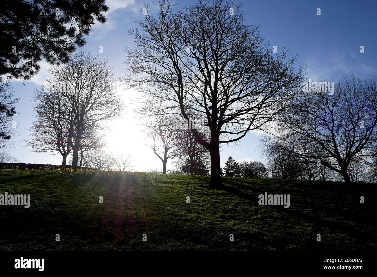 Allgemeine Ansicht des Arboretums am zweiten Tag des Astronomischen Frühlings, der am Tag des Frühlings-Äquinoktiums begann. Stockfoto