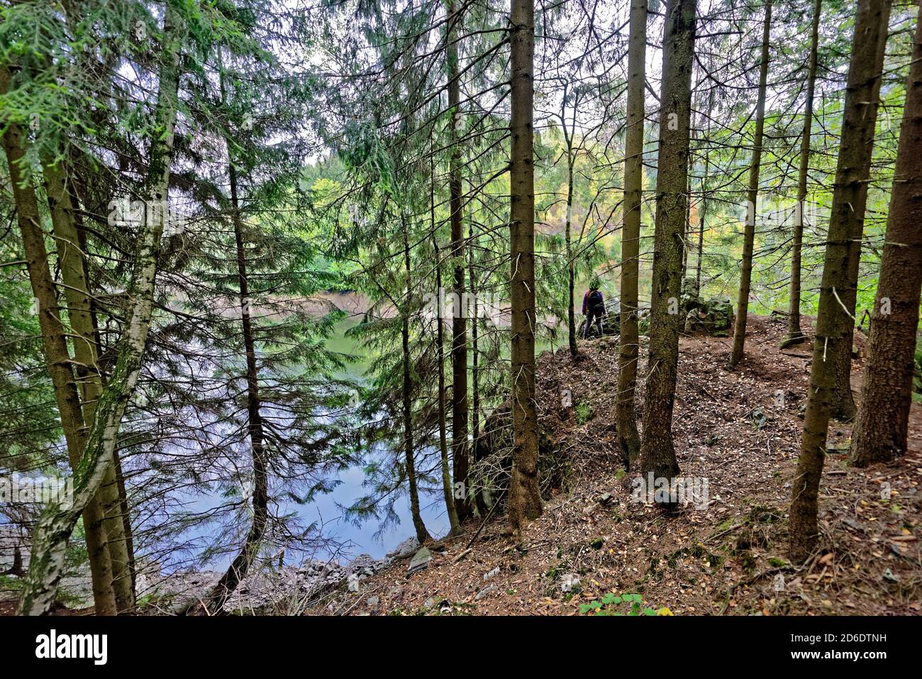 Okertal im Harz, Verlöbungsinsel, Deutschland. Stockfoto