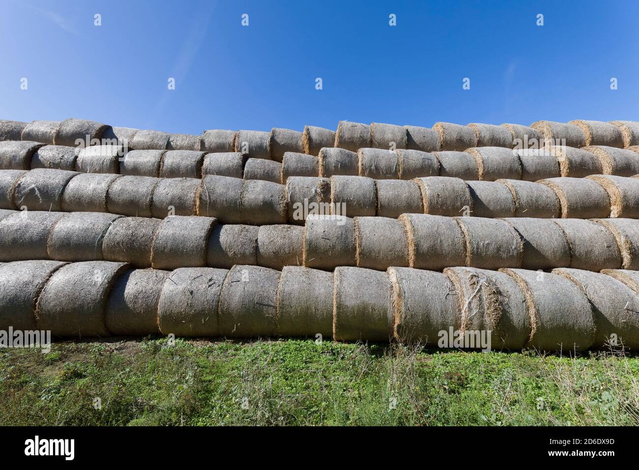 Strohballen nebeneinander und übereinander gestapelt, Rerik, Mecklenburg-Vorpommern Stockfoto