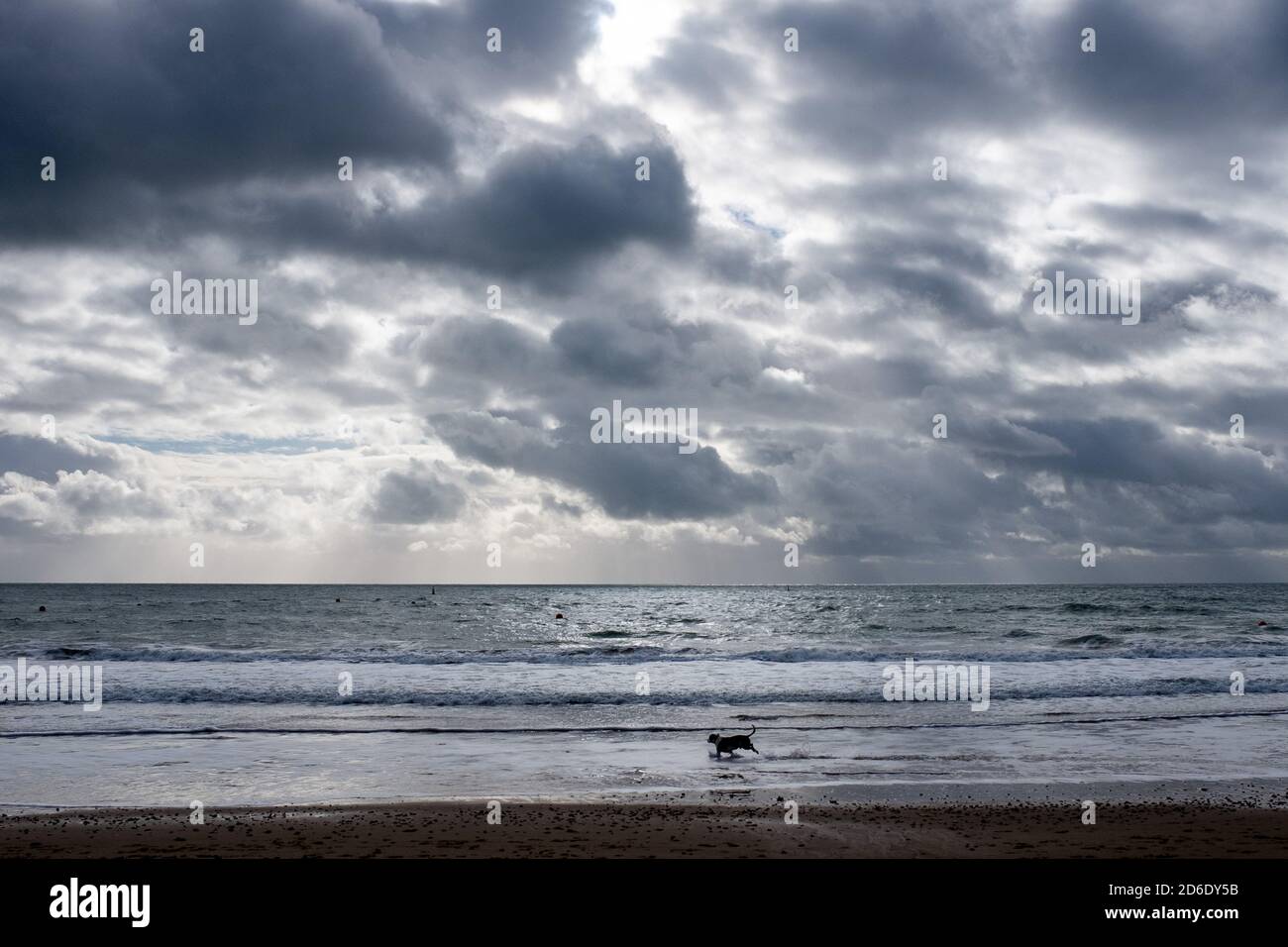 Ein Hund jagt einen Ball am Strand beim Fisherman’s Walk in Bournemouth ins Meer, während der Himmel bereit für einen weiteren Sturm mit schweren Wolken ist. 14. November 2014. Foto: Neil Turner Stockfoto