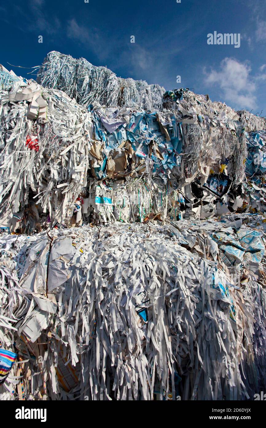 Altpapier in Recycling-Unternehmen Stockfoto