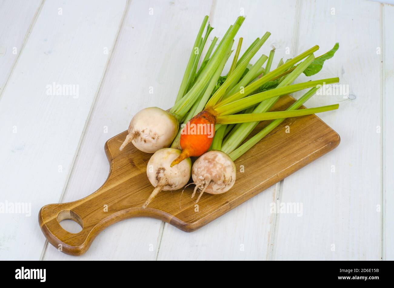 Gemüse, Rüben in verschiedenen Farben. Studio Foto Stockfoto