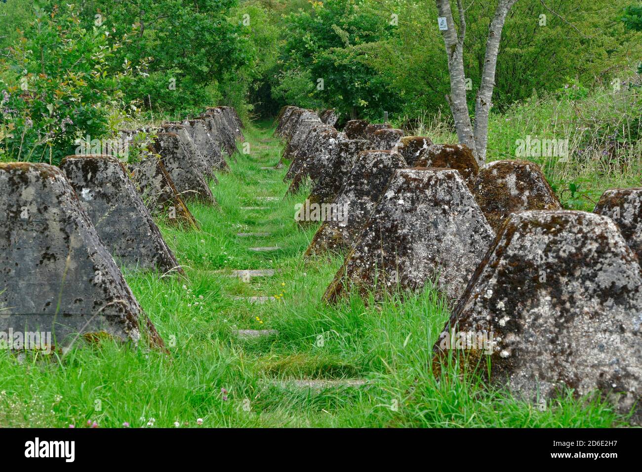 Höckerlinie, Panzerabwehr der ehemaligen Westwand bei Mettlach-Orscholz, Saargau, Saarland, Deutschland Stockfoto