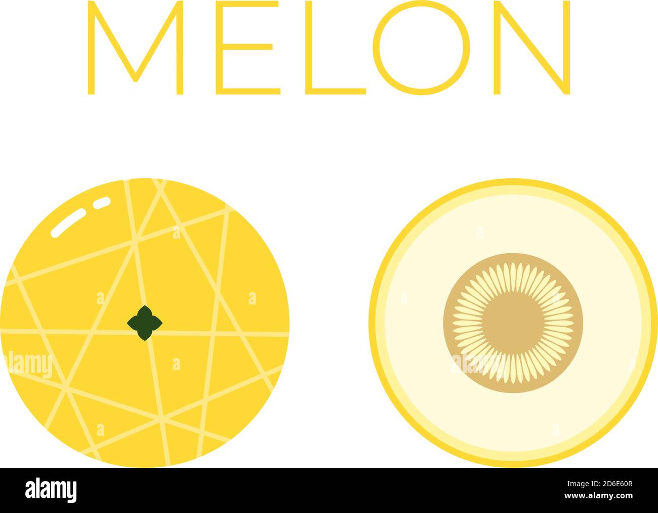 Vektor von Melon und die Hälfte von Melon auf Weiß geschnitten Hintergrund Stock Vektor