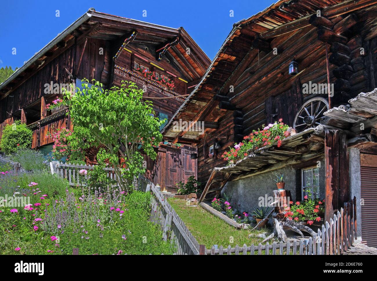 Heuscheune mit Hüttengarten im Dorfzentrum, Murren, Jungfrau Region, Berner Oberland, Kanton Bern, Schweiz Stockfoto