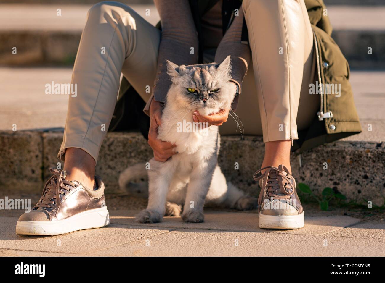 Stilvolle Dame mit ihrer reinrassigen Katze sitzt draußen auf den Stufen. Haustier mit Eigentümer Stockfoto