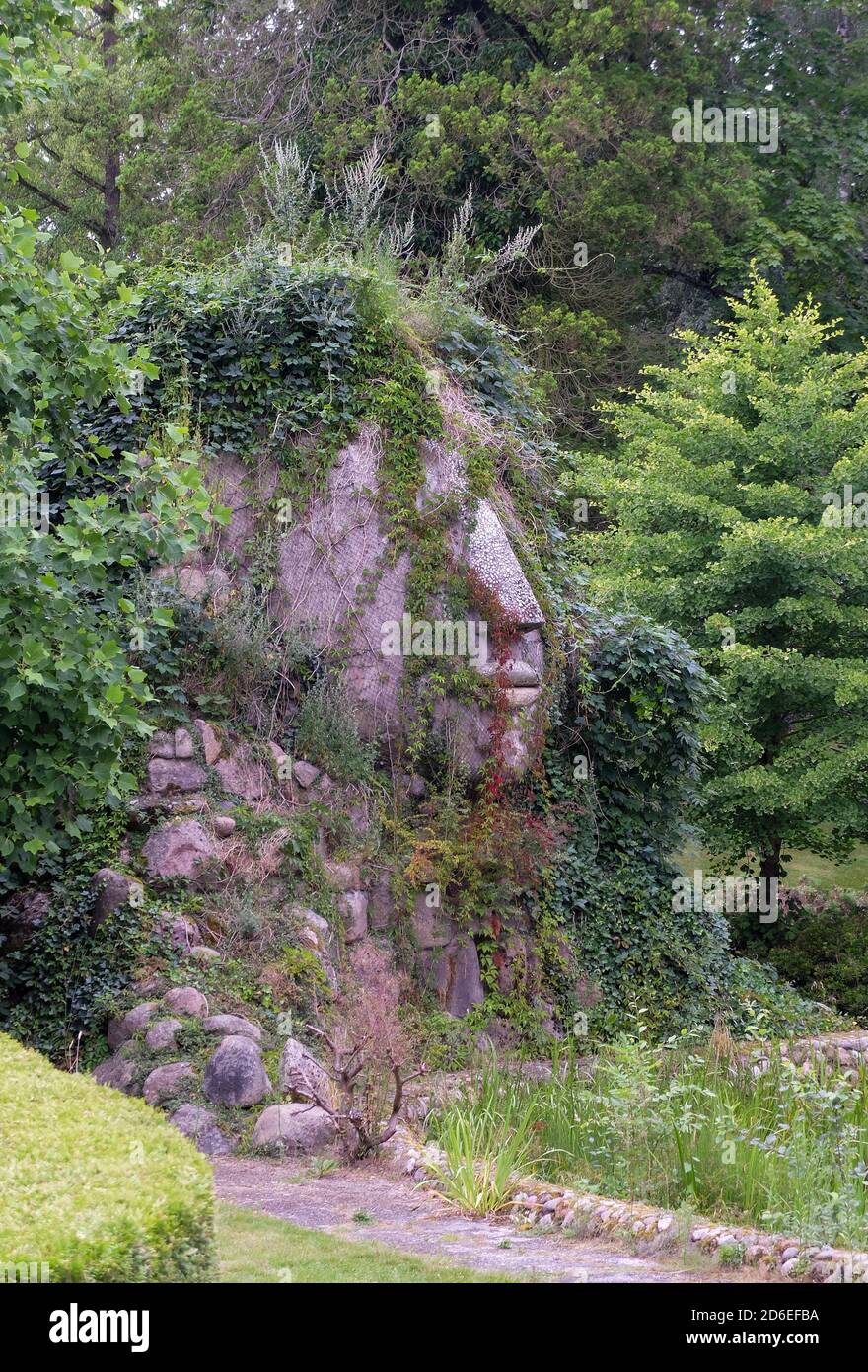 Große Kopfskulptur mit Efeu überwuchert im Garten Stockfoto