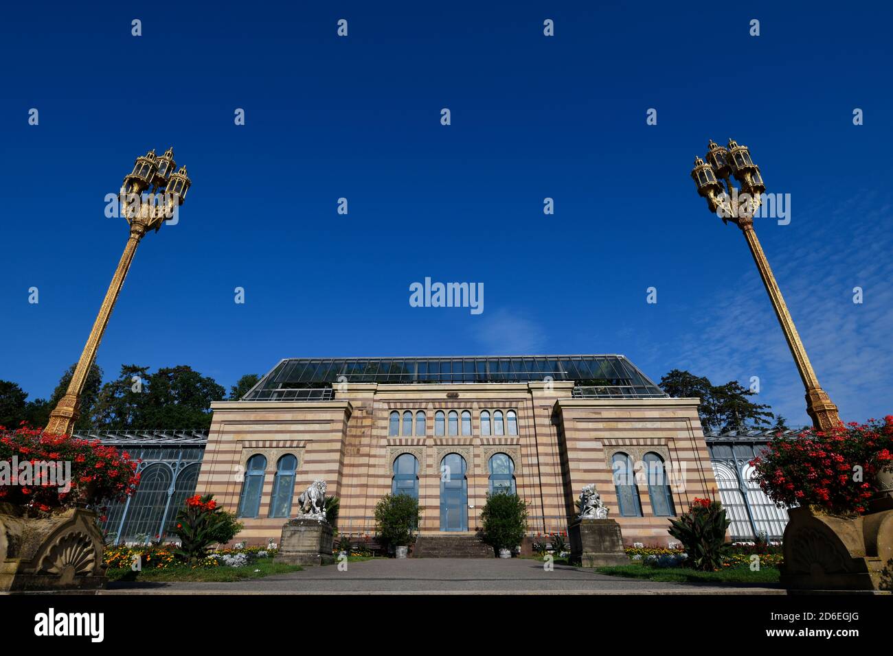 Botanische zoologische Fotos und Bildmaterial in hoher Auflösung Alamy