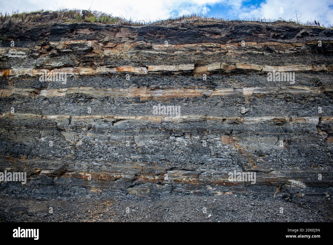 Geschichtetes Gestein der jurassic Klippe in Kimmeridge Bay, Devon, kommen prähistorische Gesteine, die dolomitischen Kalkstein und Fossilien enthalten, häufig im gesamten vor Stockfoto