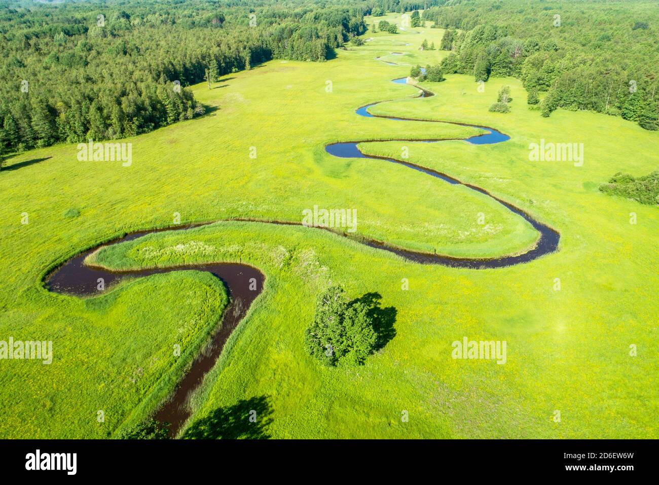 Soomaa Nationalpark. Luftaufnahme der sommerlichen üppigen und sonnigen Mulgi bewaldeten Wiese in der estnischen Natur, Nordeuropa. Stockfoto