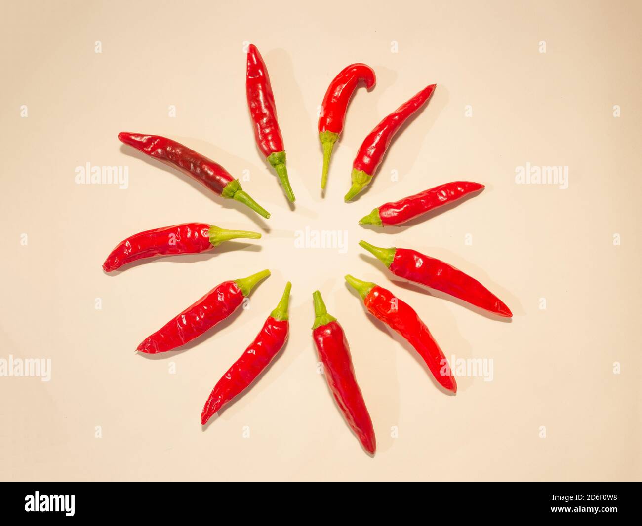Hot reife Bio-Chilischoten in einem Kreis angeordnet, hellen Hintergrund Stockfoto