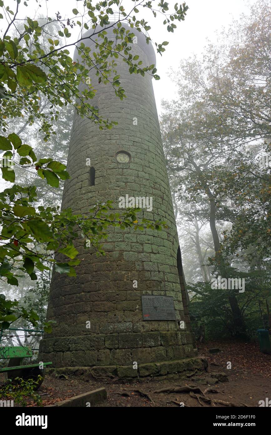 In diesem magischen Wald steht der Rapunzel-Turm. Es ist ein nebliger Morgen zu Beginn des Herbstes. Stockfoto