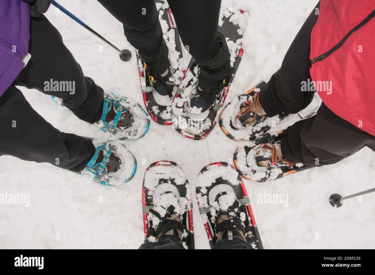 Vier Personen stehen auf Schnee und tragen moderne, leichte Schneeschuhe. Winterwandern. Freizeitgestaltung. Stockfoto