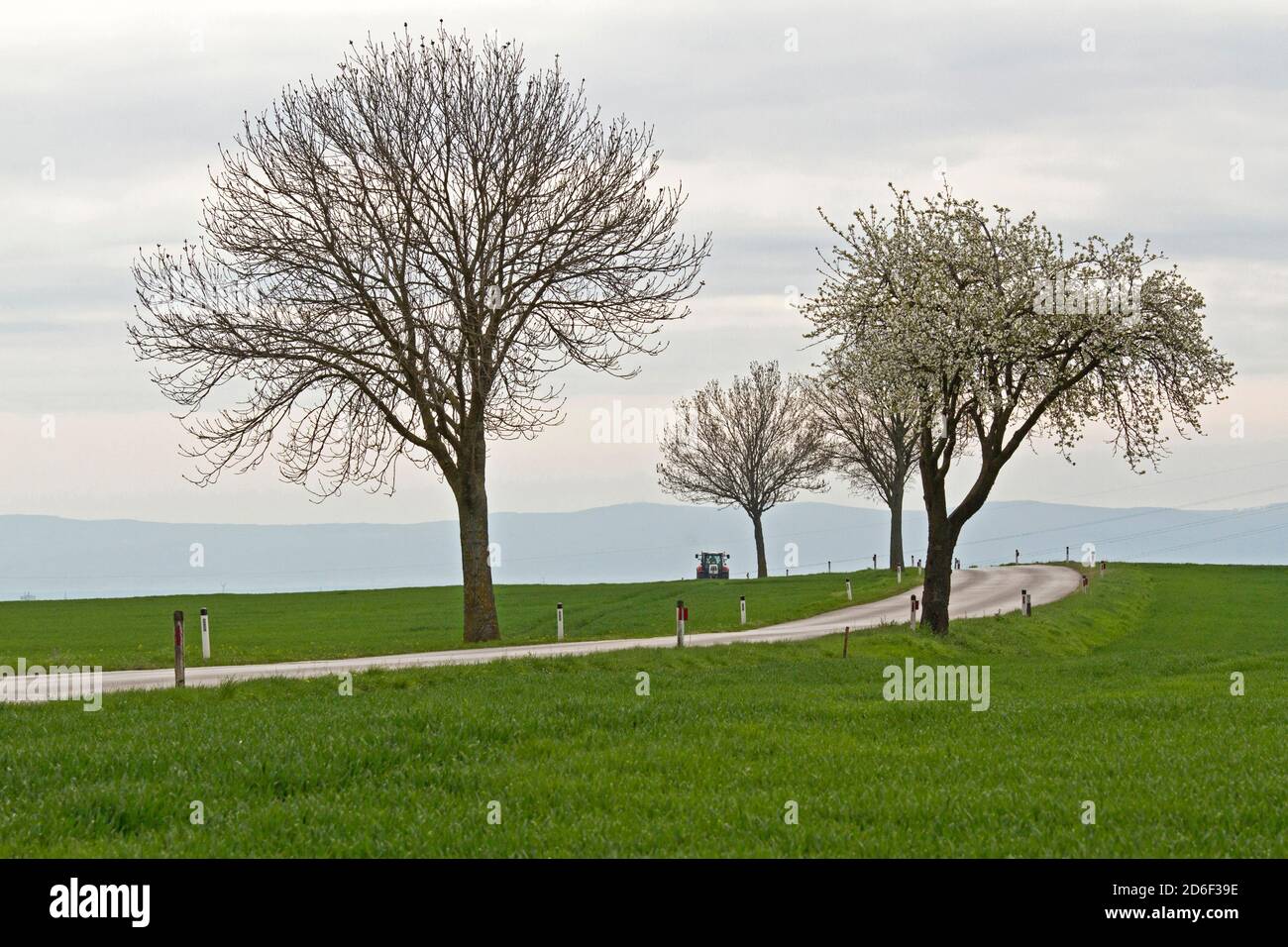 Flache Felder Fotos Und Bildmaterial In Hoher Aufl sung Alamy flache-felder-fotos-und-bildmaterial-in-hoher-aufl-sung-alamy
