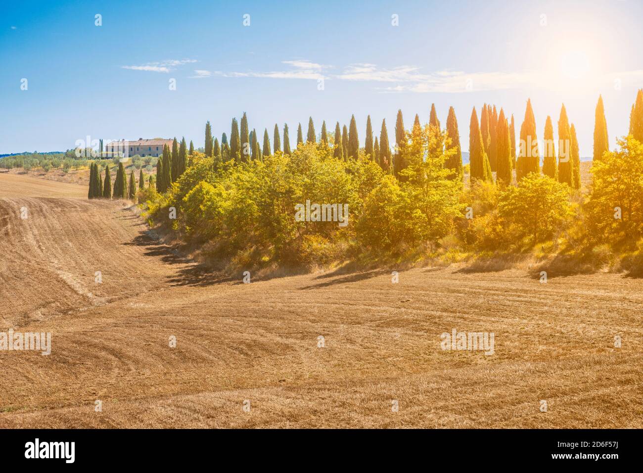 Klassische toskanische Landschaft, Landhaus mit Zypressenallee, Castelnuovo Berardenga, Provinz Siena, Toskana, Italien Stockfoto