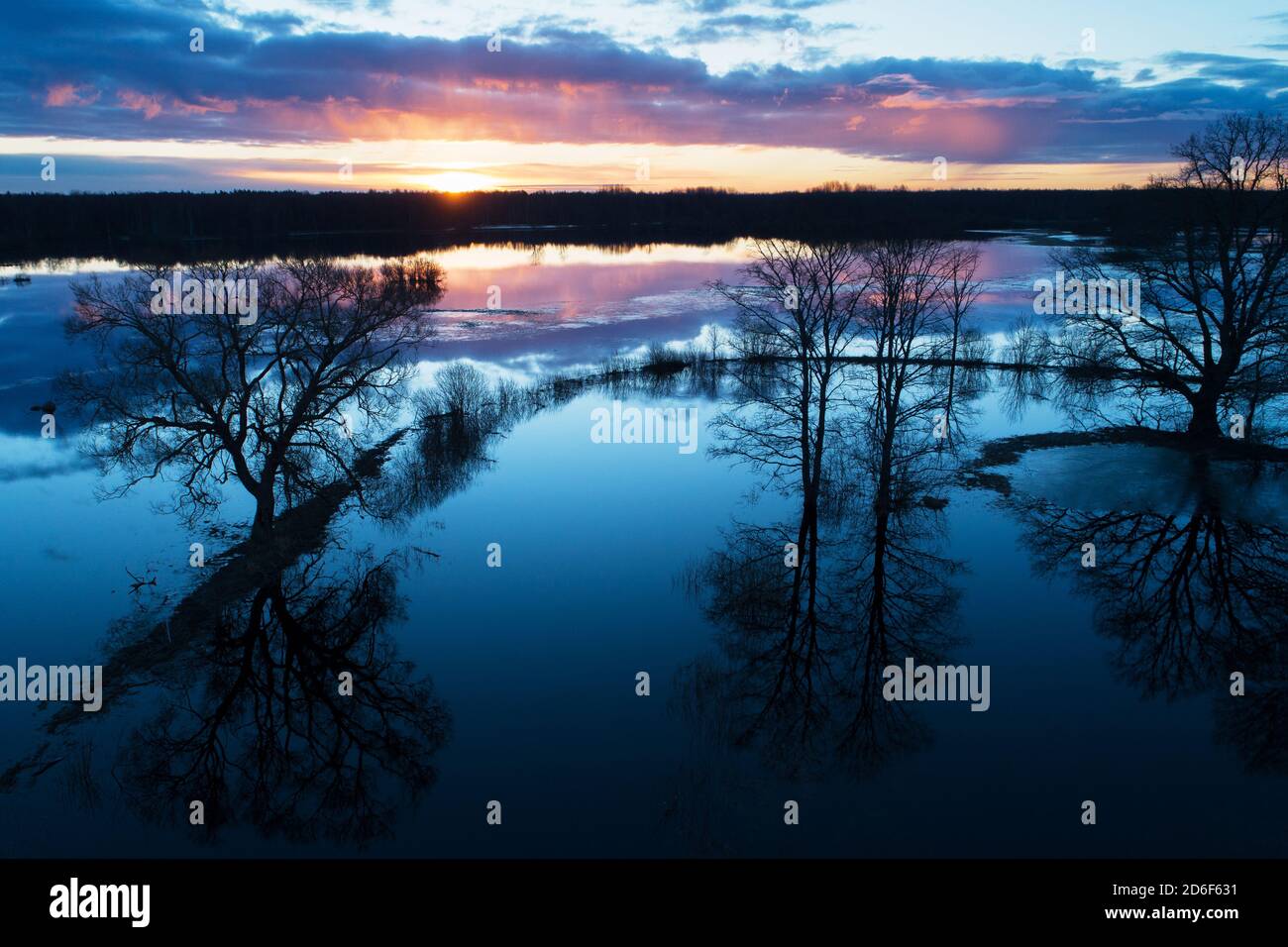 Soomaa Nationalpark während einer Frühlingsüberflutung auch bekannt als die fünfte Jahreszeit in der estnischen Natur, Nordeuropa. Stockfoto