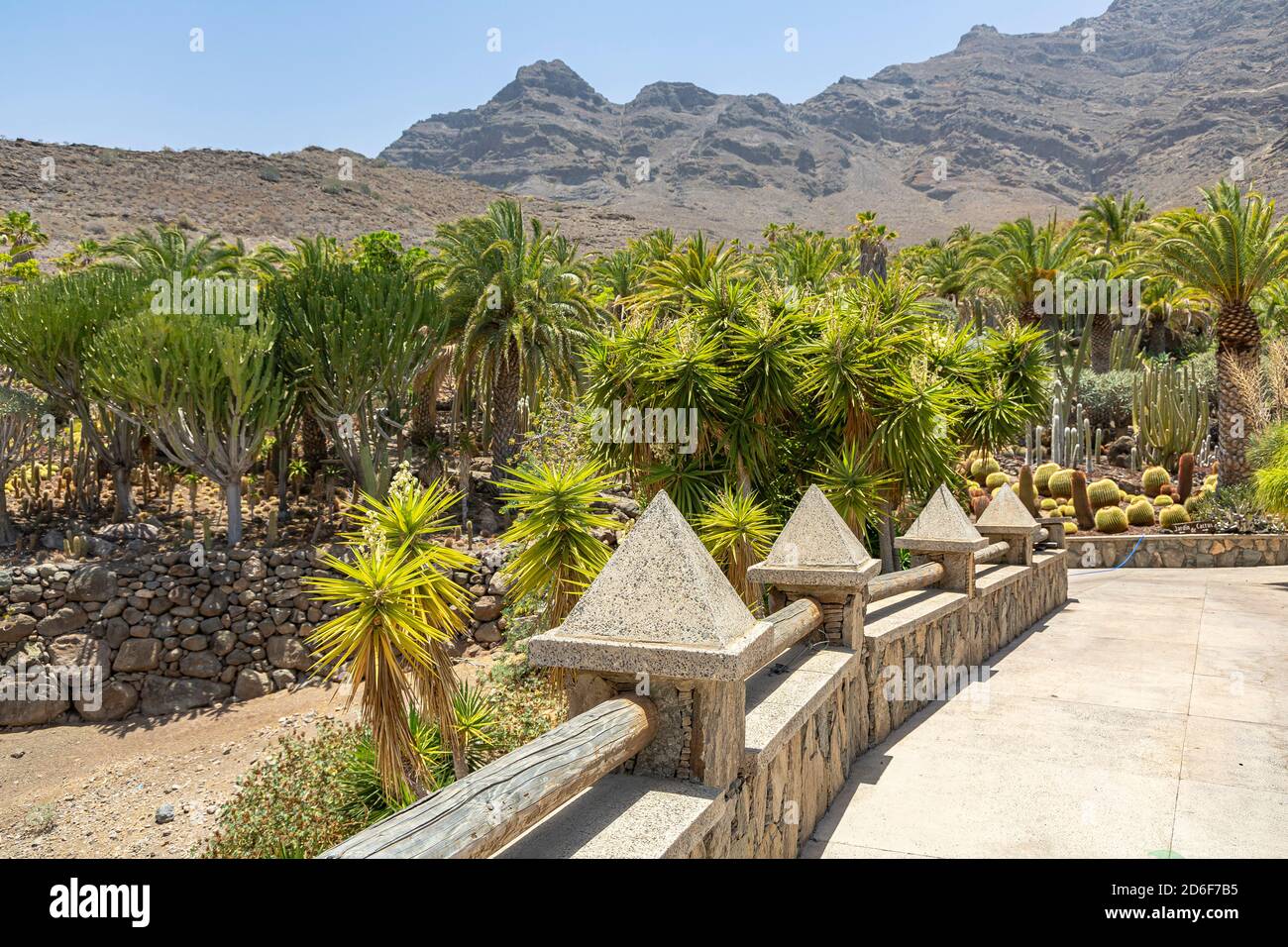 Kaktuspflanzen und Palmen im 'Cactualdea Park' - Kaktuspark im Westen von  Gran Canaria, Spanien Stockfotografie - Alamy