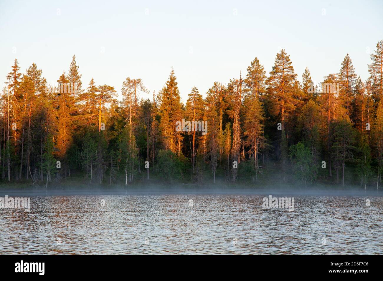 Morgensonnengang am See zwischen nördlichem Taigawald mit Nebel in finnischer Natur. Stockfoto