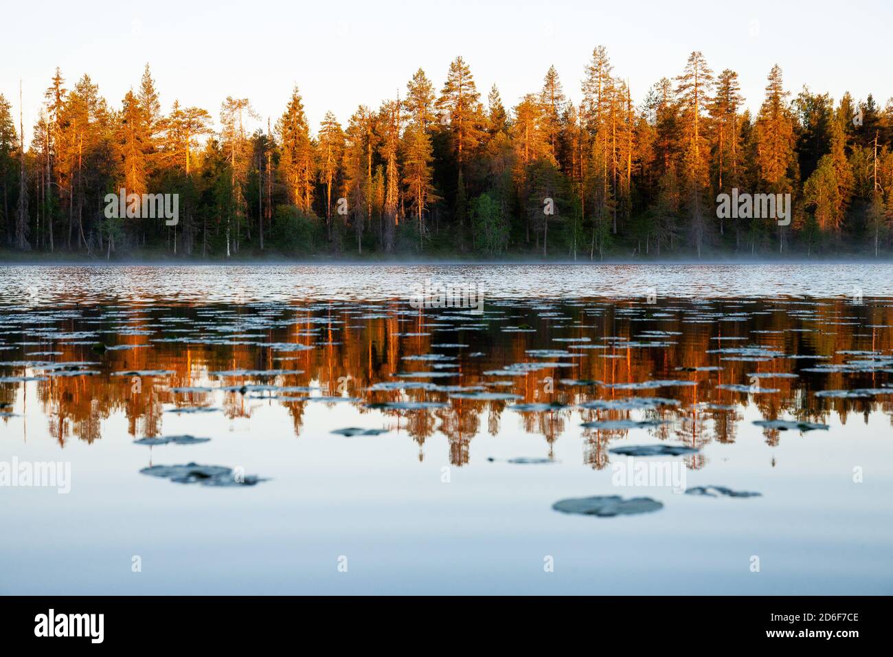 Morgensonnengang am See zwischen nördlichem Taigawald mit Nebel in finnischer Natur. Stockfoto