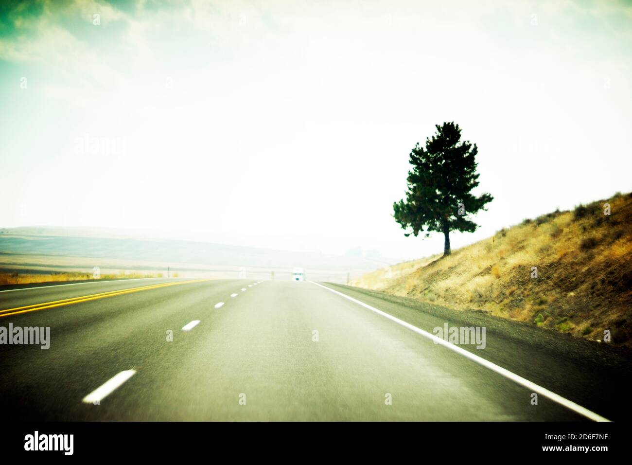 Lone Tree am Highway mit Hazy Wildfire Smoke, Oregon, USA Stockfoto