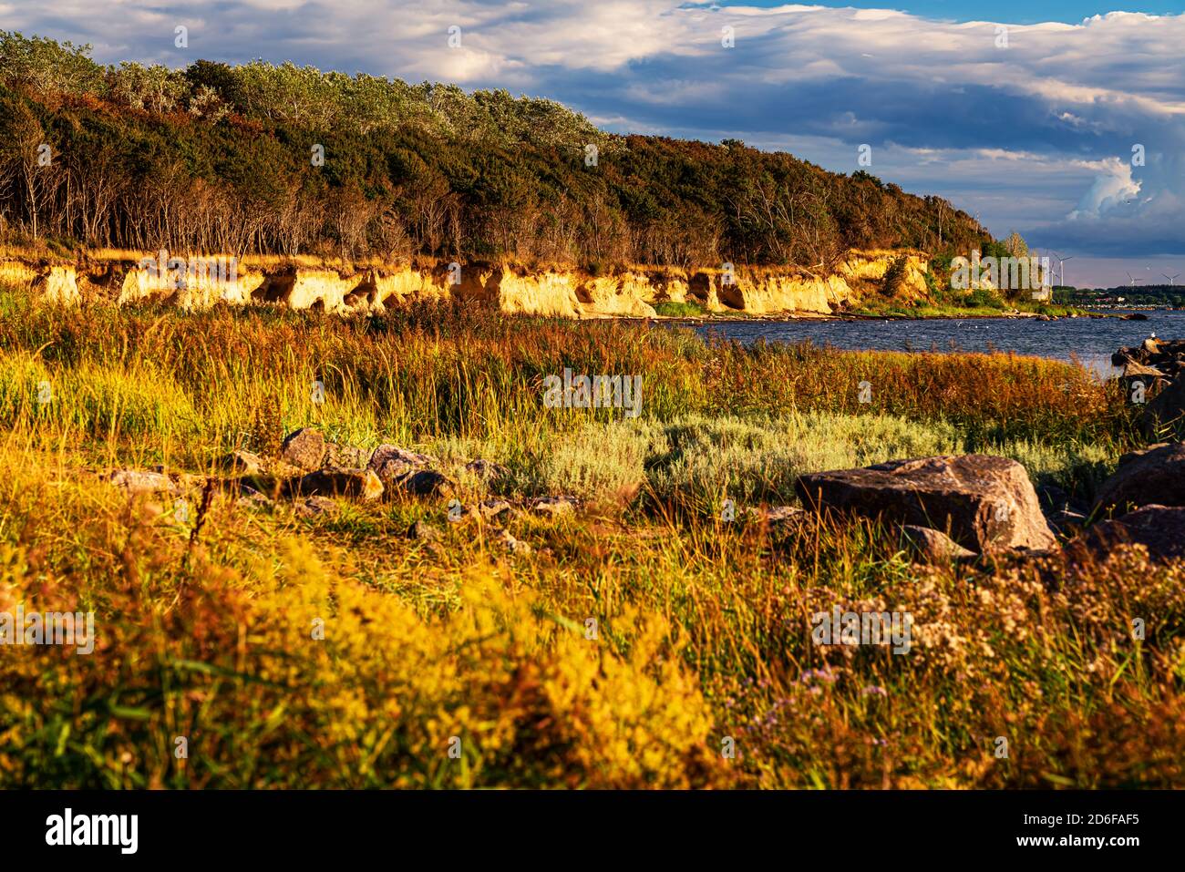 Steilküste, Timmendorf, Poelinsel, Ostsee Stockfoto