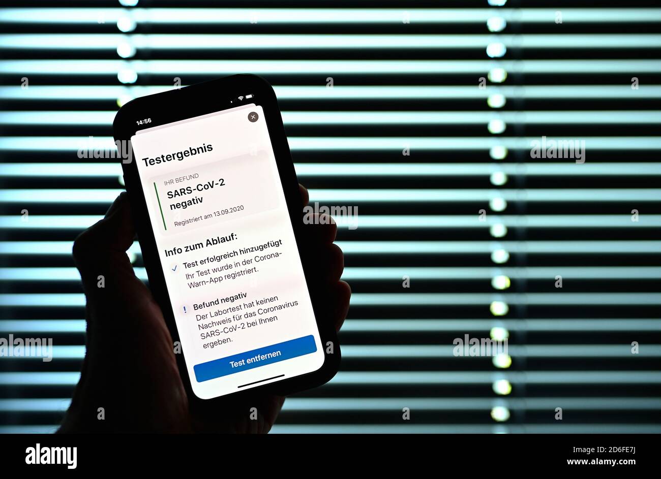 Negatives Testergebnis, Hand hält Smartphone mit Corona Warnung APP, Corona Krise, Stuttgart, Baden-Württemberg, Deutschland Stockfoto