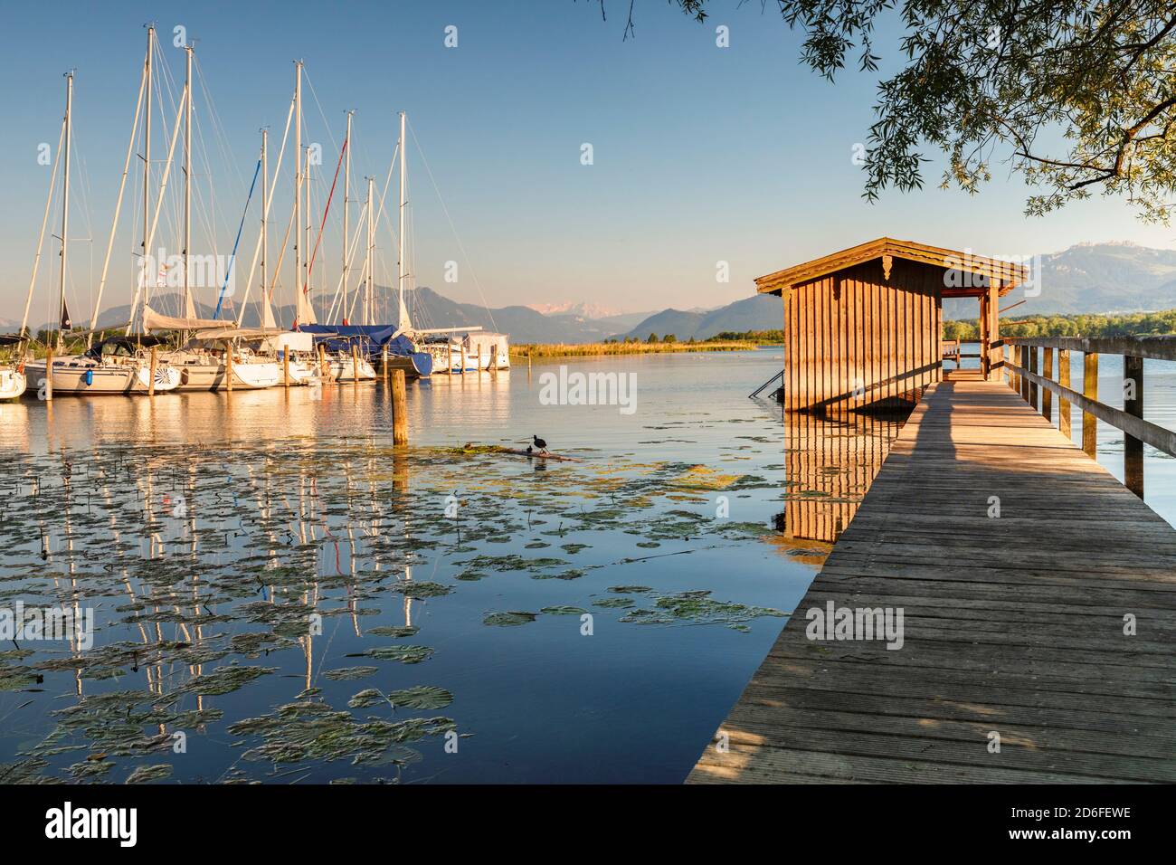 Bootshaus und Segelboote auf Chiemsee, Oberbayern, Deutschland Stockfoto