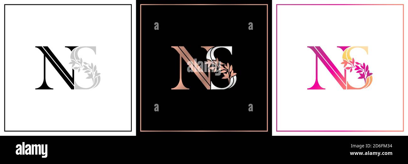 NS Monogramm, NS Initial Wedding, NS Logo Firma, NS Icon Business, Zeichen, SN Symbol mit Variation drei Designs von minimal, Eleganz, bunt Stock Vektor