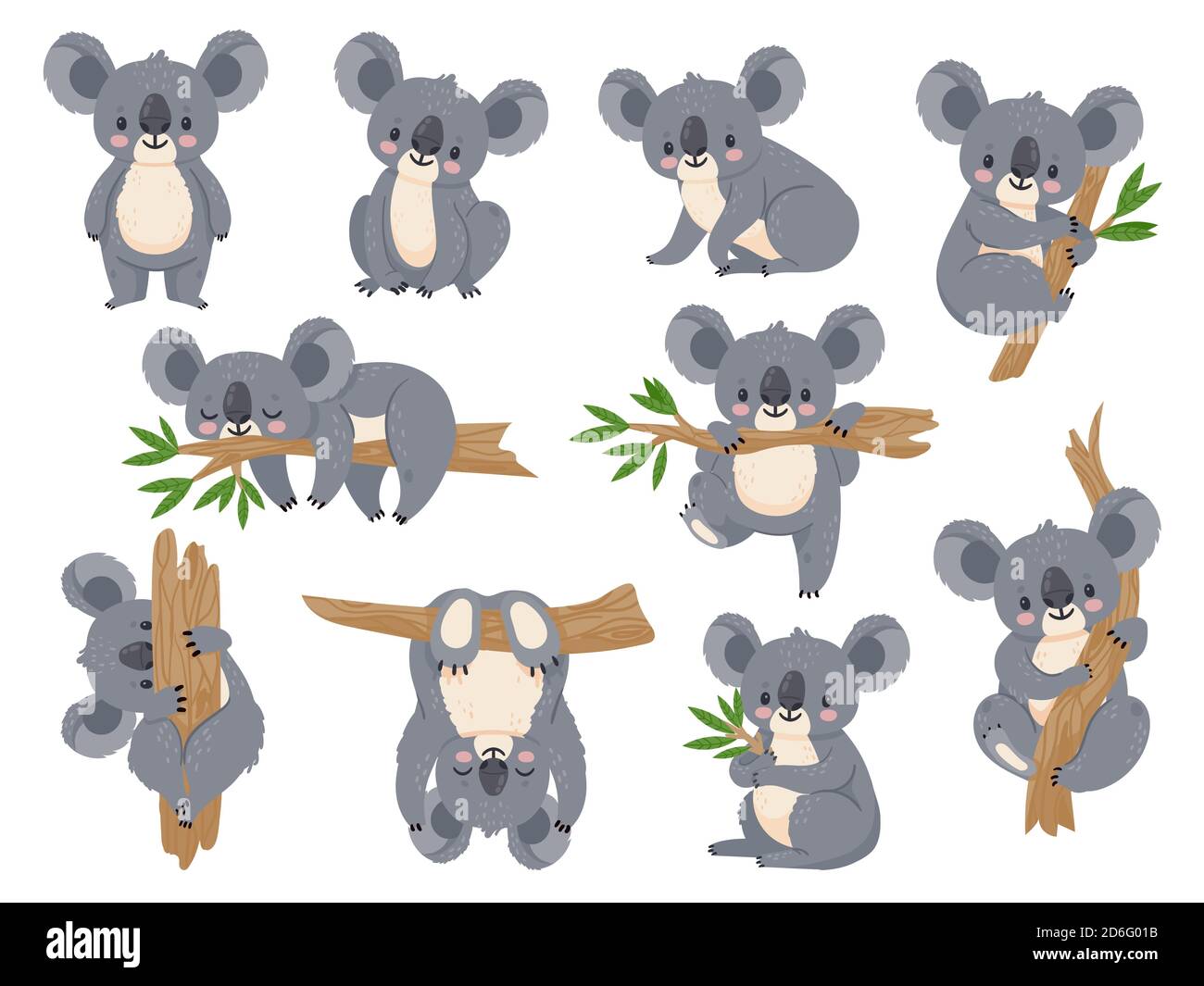 Niedliche Cartoon Koala. Faule Koalas mit Eukalyptus. Kleine lustige Regenwaldtiere. Australischer Bär schläft auf tropischem Baum Vektor-Set Stock Vektor