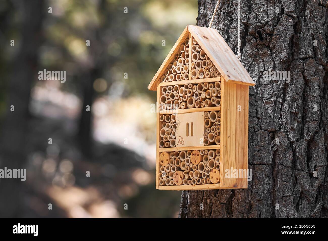 Holzkiste, die als Haus und Hohar für Insekten auf dem Feld in einem mediterranen Wald in Malaga dient. Andalusien, Spanien Stockfoto