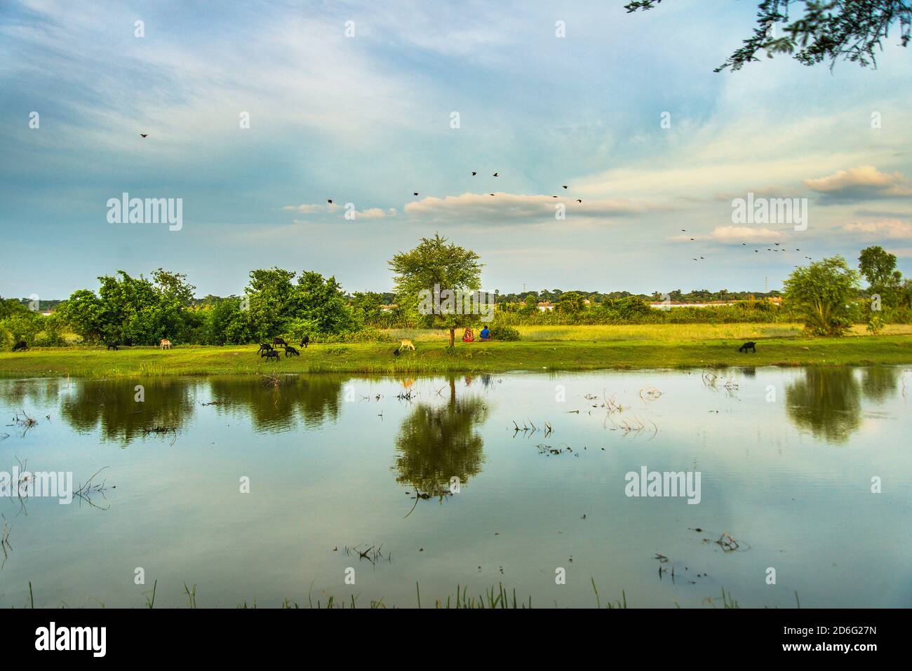 Typical bangladesh Fotos und Bildmaterial in hoher Auflösung Alamy
