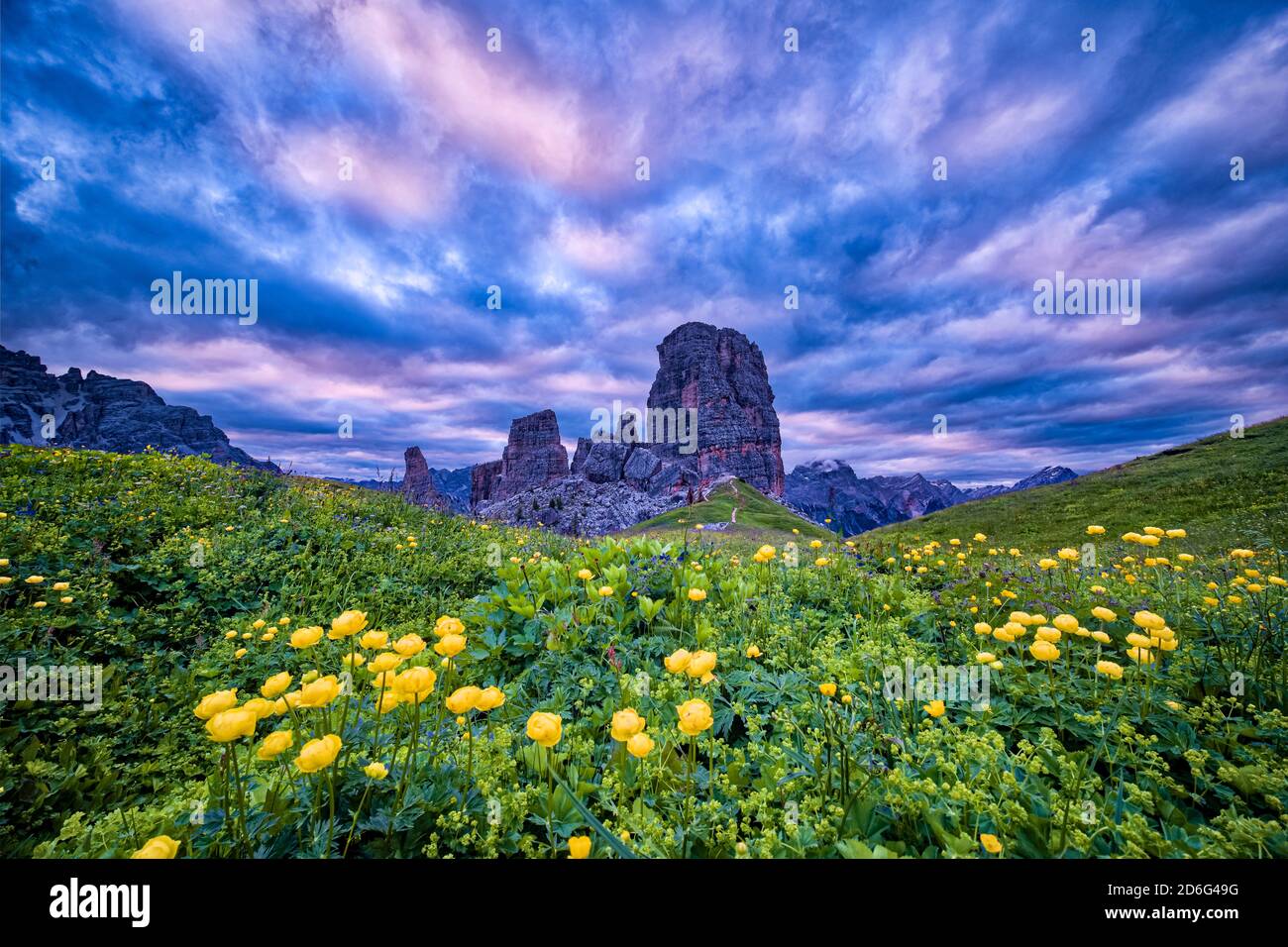 Die Felsformation Cinque Torri, Cinque Torri di Averau, umgeben von gelb blühenden Blumen, bei Sonnenaufgang. Stockfoto