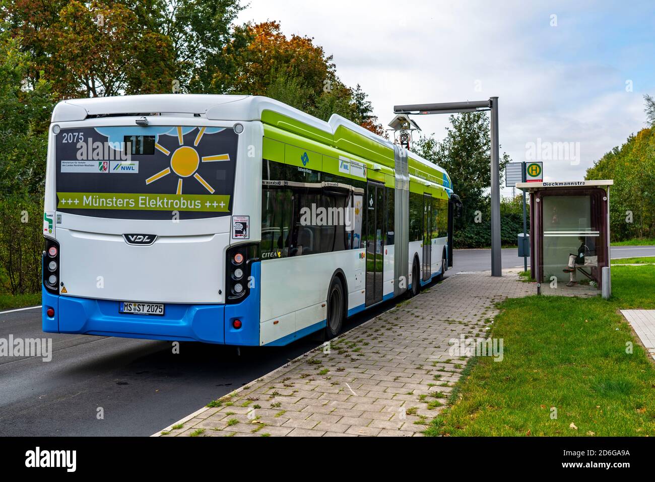 Elektrobus der Stadtwerke Münster, an einer Schnellladestation, Bushaltestelle, Buskraftstelle Dieckmannstraße in Münster Gievenbeck, 16 E-Busse Strom Stockfoto