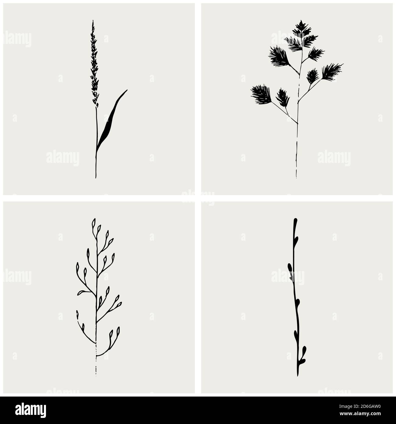 Florale Skizze. Vector handgezeichnete Sammlung von Kosmetika Kräuter und Pflanzen. . Vektorgrafik Stock Vektor