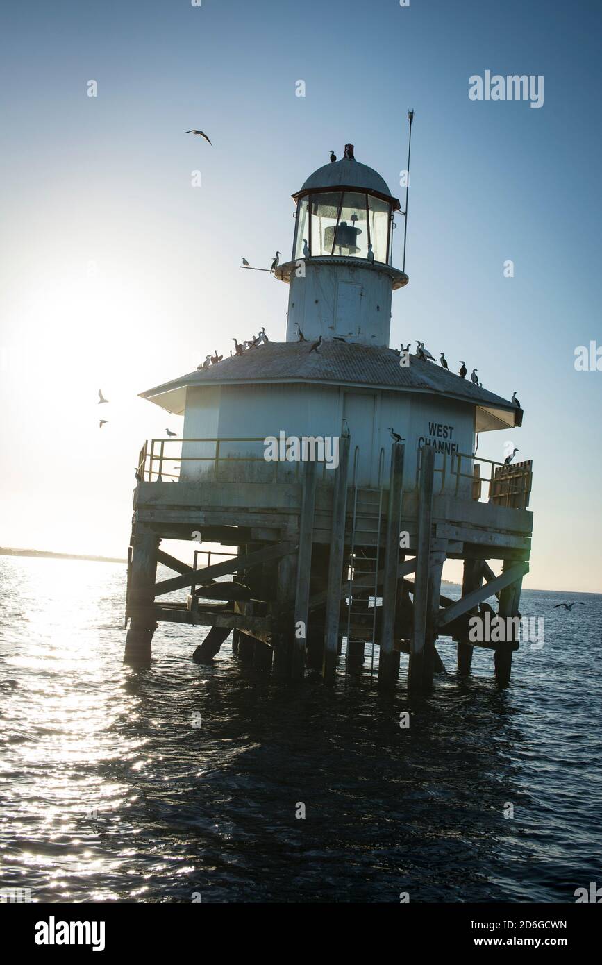 West Channel Pile, Port Phillip Bay Stockfoto