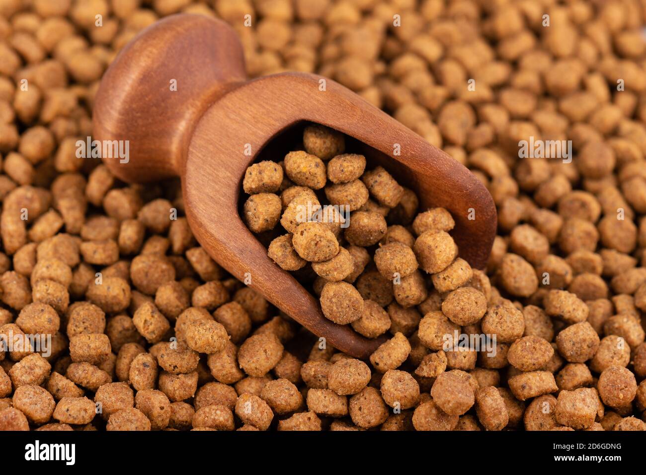 Tierfutter in Holzlöffel trocknen. Haufen granulierter Tierfuttermittel. Granulat guter Ernährung für Hunde und Katzen. Stockfoto
