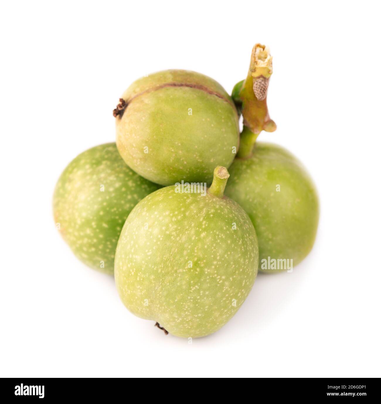 Grüne Walnuss, isoliert auf weißem Hintergrund. Geschälte Walnuss und Kerne. Walnüsse verzweigen. Stockfoto